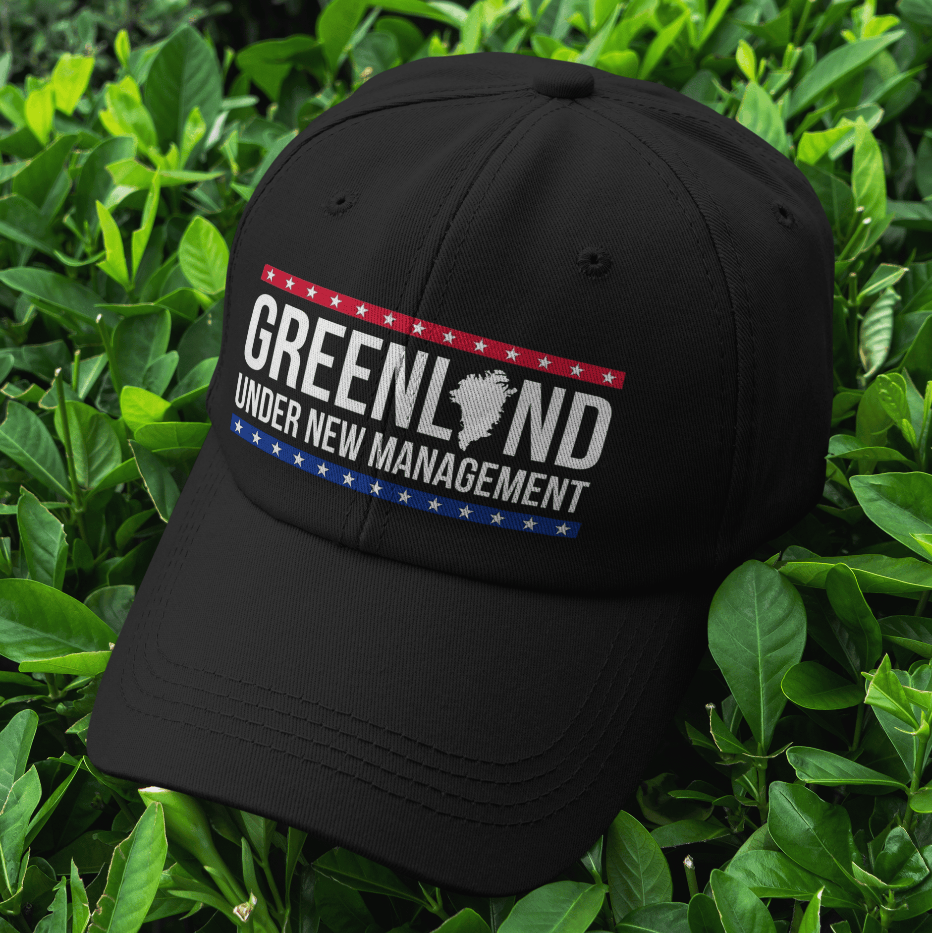 Under New Management Cap