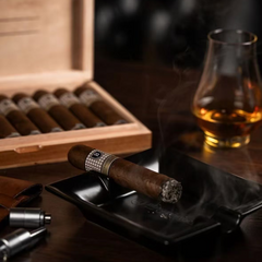 Faith Nova GraceSwift Aged