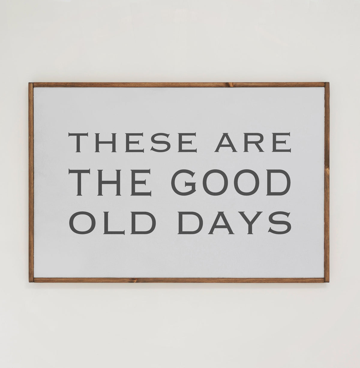 These Are The Good Old Days | Framed Wooden Art - Horizontal