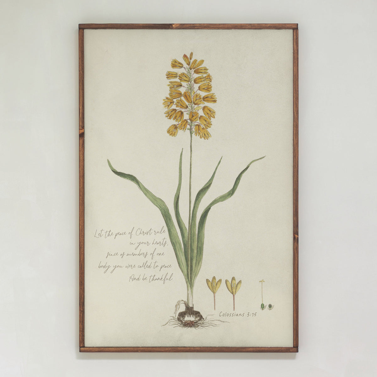 Let The Peace Of Christ Rule | Framed Wooden Art