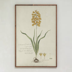 Let The Peace Of Christ Rule | Framed Wooden Art