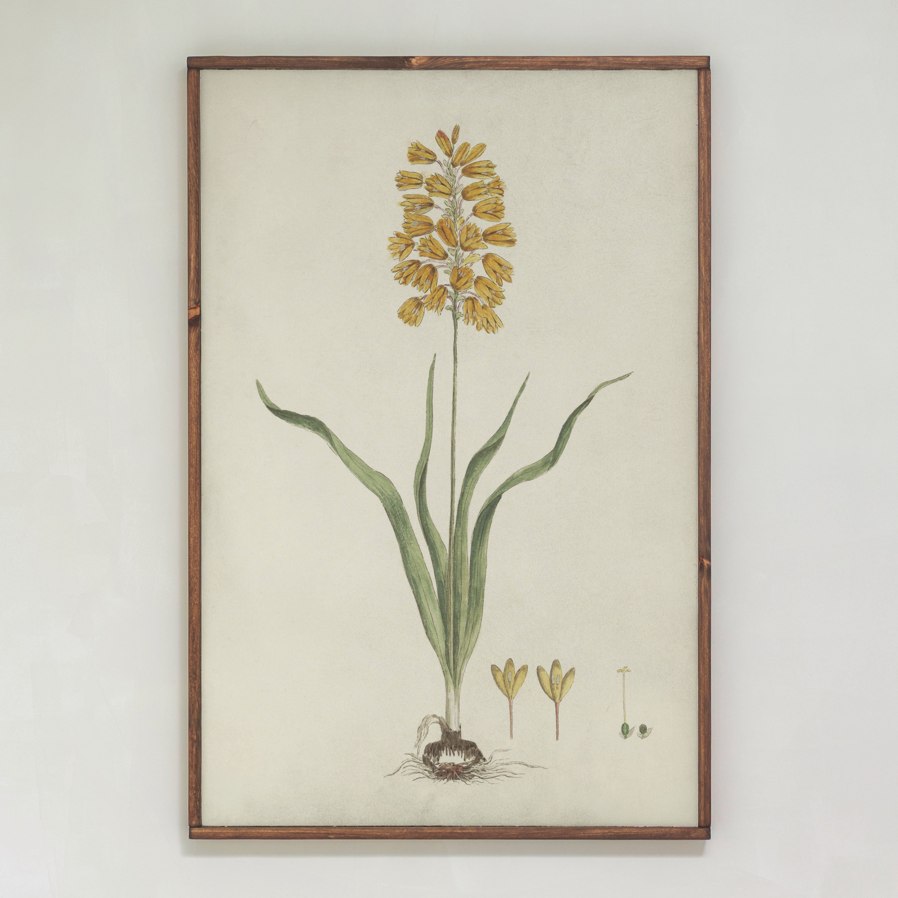 Yellow Botanical | Framed Wooden Art