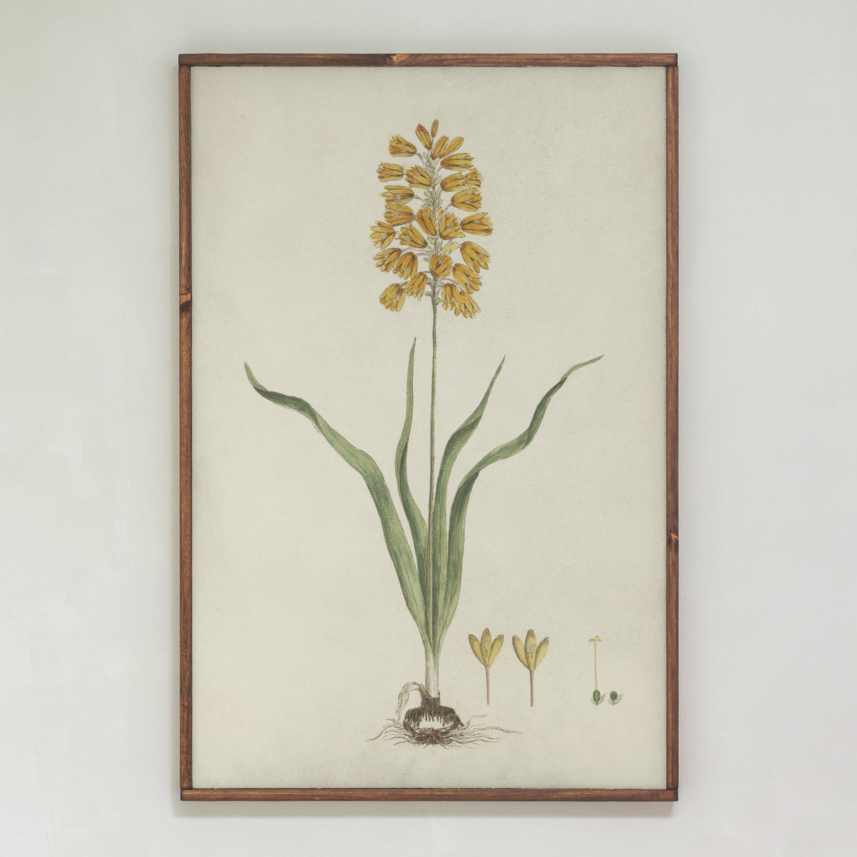 Yellow Botanical | Framed Wooden Art