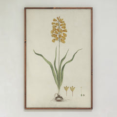 Yellow Botanical | Framed Wooden Art