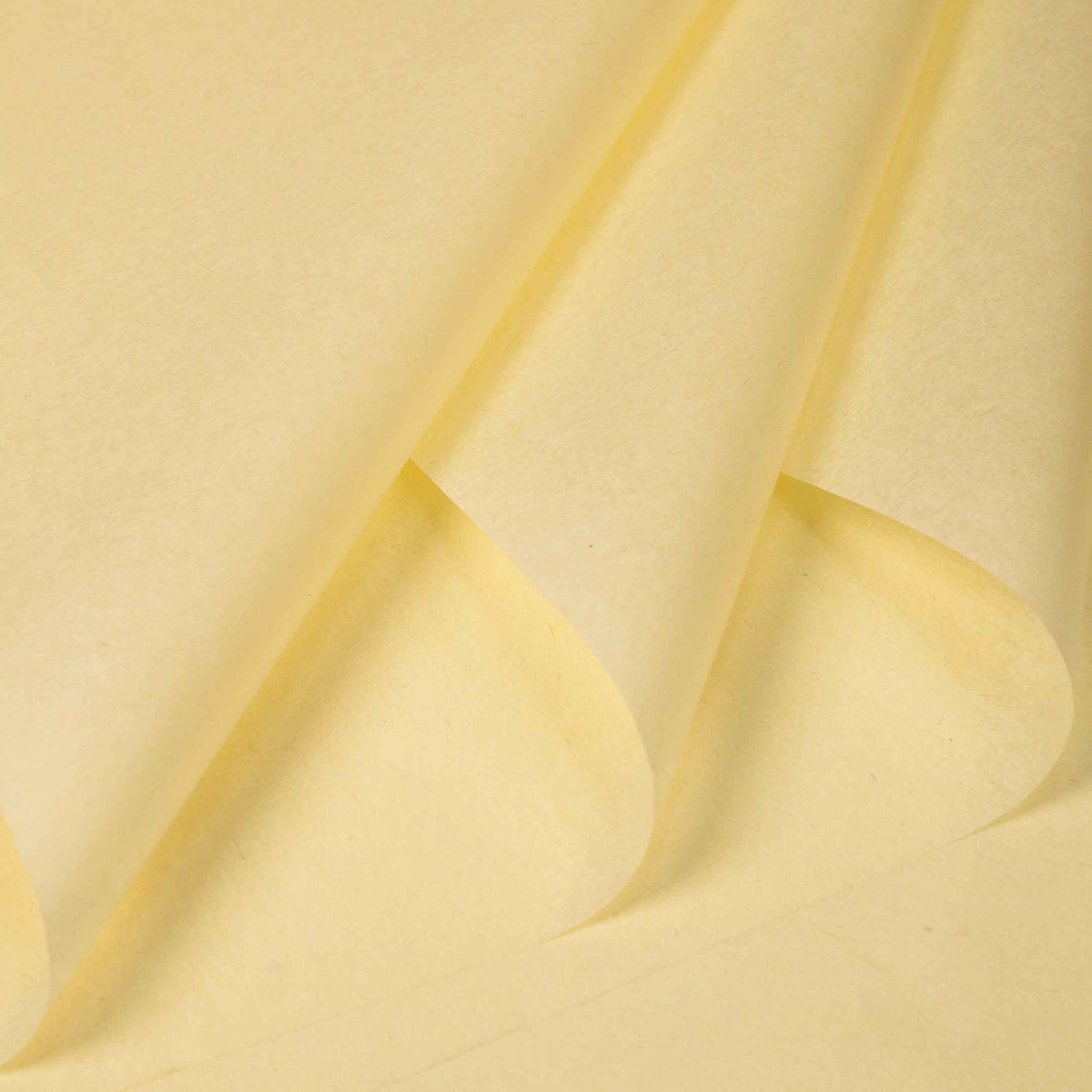 Pale Yellow